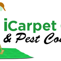 iCarpet clean and pest control(@Icarpet123) 's Twitter Profile Photo