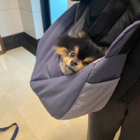 SHERRILLv (@vayne1e) 's Twitter Profile