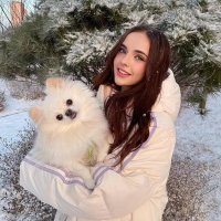 Joe (@joe50763990) 's Twitter Profile