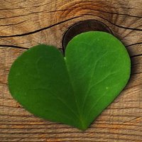 Ricardo OA (@elrichardortiz) 's Twitter Profile