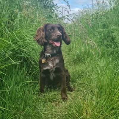 MartinH_54's profile picture. 