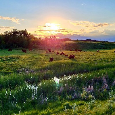 Farmer in Manitoba