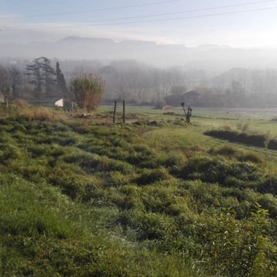 Teixidor33's profile picture. 