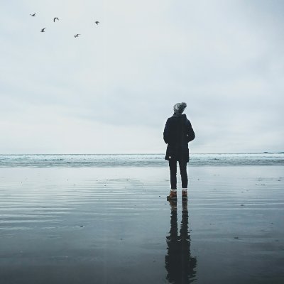 lonely_gambler's profile picture. 직업 : 제휴 마케터 
취미 : 테이블게임
박아라 bot  : https://t.co/hRKjAR6dXf