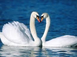 حدثوني عن الجنه ف حدثتهم عنك يَا ♥ أمي ♥