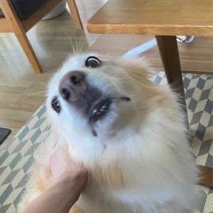 poppyptm's profile picture. พี่เจคแฟนเด็ก 💗🦮