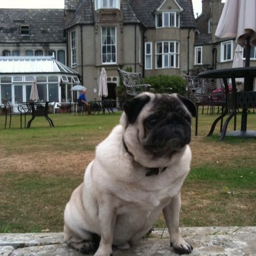 DaveFeltes's profile picture. Politics and markets. All views are my own.