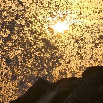 saad900099's profile picture. 