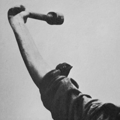 Stalingrad35757's profile picture. Genomic Nationalism is the nearest future of mankind 🧬 🆔

Born in XSU ex Soviet Union