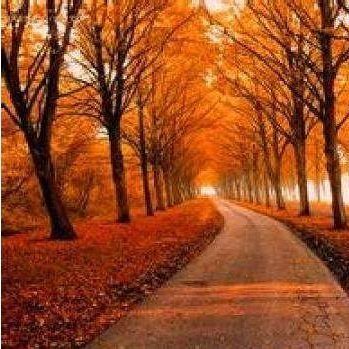 axb789's profile picture. ！！！~~~~~~~~~~~~~~~~~~~~~~~~~~~~~~~~~~~~~~~~~~~~~~~~~~~~~~~~~~~~~~~~~~~~~~~~~~~~~~~~~~~~~~~~~~~~~~~~~