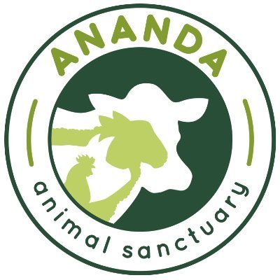 AnandaAnimals Profile Picture