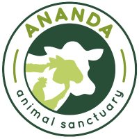 Ananda Animal Sanctuary(@AnandaAnimals) 's Twitter Profile Photo