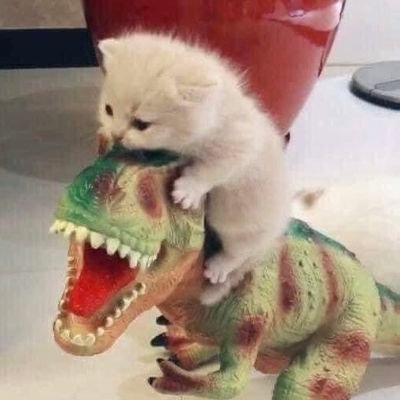 Khaopun85's profile picture. ❣️ because you are love and happiness ❣️🐕💙🧡🐈Noดราม่า Noหยิกหลัง
Noสน Noแคร์ มาหาความสุขไม่ได้มาหาศัตรูสินปินคือเป้าหมายคือความสุข
#nananu #nunew #zonzon