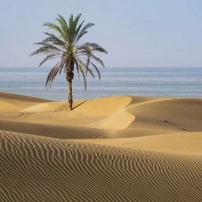 بلوچستان صدای ندارد صدایش باشیم.
فالو و ریتویت الزماً تایید محتوای شخص نیست؛