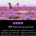 عرفج (@fahdah3636) Twitter profile photo عرفج (@fahdah3636) Twitter profile photo