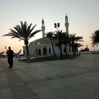 sultanayguler's profile picture. 