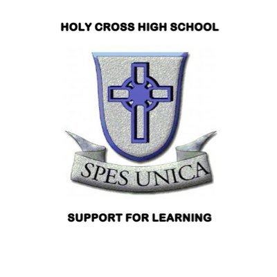 Updates from the Support for Learning Department at Holy Cross High School in Hamilton, South Lanarkshire.