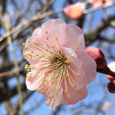 Q0W7IDJzPv72402's profile picture. 初めまして。まだまだ勉強中の初心者です。どうぞ宜しくお願い致します。🙇‍♀️