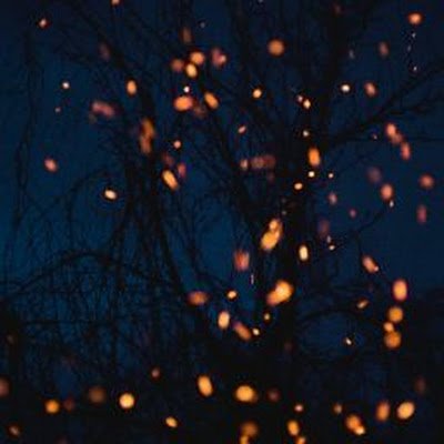BlackOp_47's profile picture. 