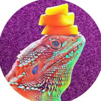 A Lizard Lady(@LexiconLass) 's Twitter Profile Photo