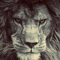 Yvan (@sil3nt_list3n3r) 's Twitter Profile
