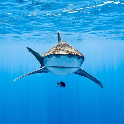 tsepo_leteba_'s profile picture. 