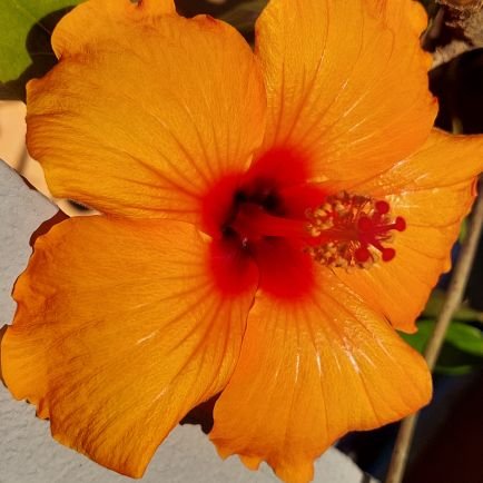 3705323544244cc's profile picture. 