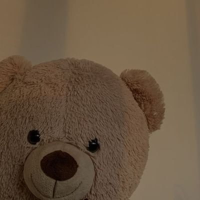 hajerwaheed55's profile picture. faculty Of law||TU||