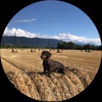Bruno (@lrestistant73) 's Twitter Profile Photo Bruno (@lrestistant73) 's Twitter Profile Photo
