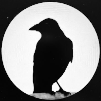 DanielePecorel6's profile picture. Composer, producer and sound designer