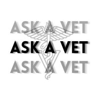 Ask A Veterinarian(@Ask1avet) 's Twitter Profile Photo