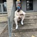 Bigbaba40_ (@bigbaba40_) Twitter profile photo Bigbaba40_ (@bigbaba40_) Twitter profile photo