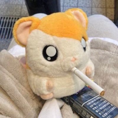 ham1ster_'s profile picture. 