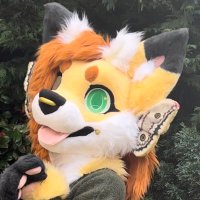Emberstar (@starryfawnn2) 's Twitter Profile