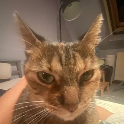 aCUDAx's profile picture. 