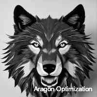 Aragon Optimization (@_optiimization) 's Twitter Profile