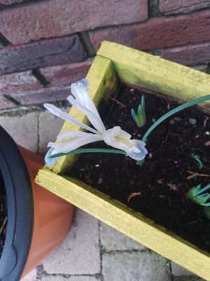 premier4591's profile picture. 