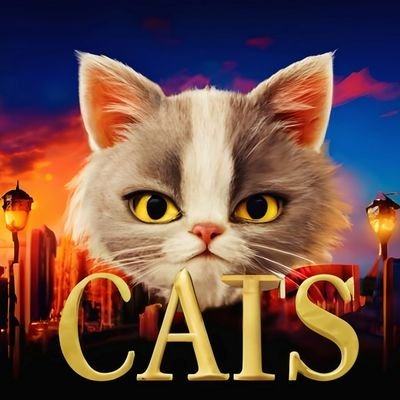 ❤please follow @Mr_mow_cat for dayle content 
♥️ amazing  story & movie & funny Funny cat videos. #funnycats #cutecats #catlover