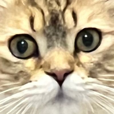 2bro.三人称.オレタチアフロ。など色々好きです!あまり関わり無い方フォロバしませんので!Tonでもとんでもとんとんでも好きなように呼んでくださいな(≧∇≦)b