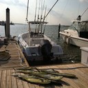 Marcus Elliott - @mqellio - Twitter