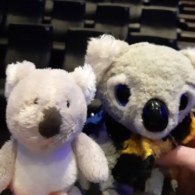 Ich bin Fridolin, der Sohn von @ManfredKoala und Regulus🐨🐢🐨.
Schokoladenmonster und Katzenkuschler
#DA⚡💛
er/ihm