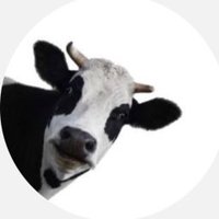 さ く (@yassan_gnu) Twitter profile photo