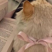ries (@ccberriess) 's Twitter Profile Photo ries (@ccberriess) 's Twitter Profile Photo