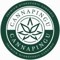 Cannapingu Cannabis Club Hamburg e.V.(@cannapingu) 's Twitter Profile Photo