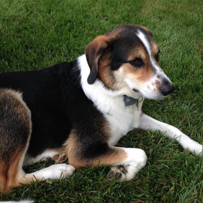 RetireRailroad's profile picture. Constitutional Conservative, Huge Trump Fan, Committeeman