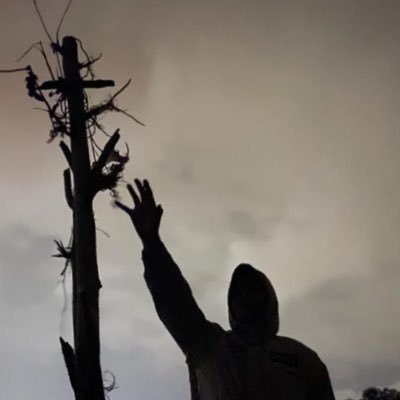 catchafaded's profile picture. 