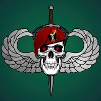 Phantom Airborne Brigade(@PhantomAirborne) 's Twitter Profile Photo