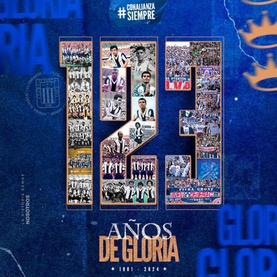 Administrador, deportista y estudioso, hincha de Alianza Lima y Real Madrid y fanático de mis hijos.