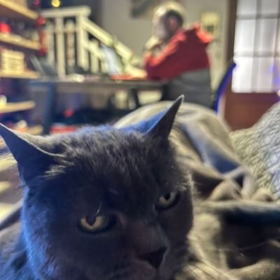 Hsrip's profile picture. El dia que deixis els  teus paradisos , descobriràs que son millors els meus inferns. 😉😇😈😏
^_^