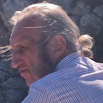 vladimiranissim's profile picture. 🎼scientist, composer and writer